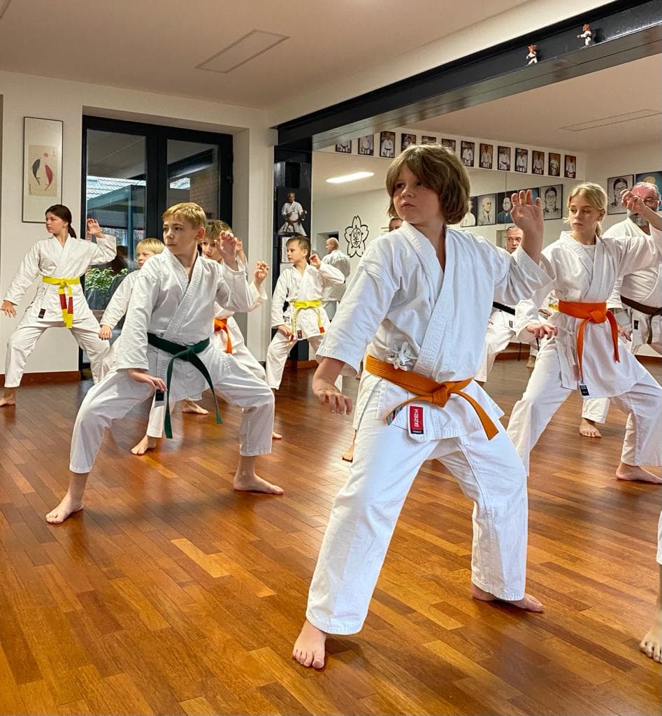 Tréning v dojo